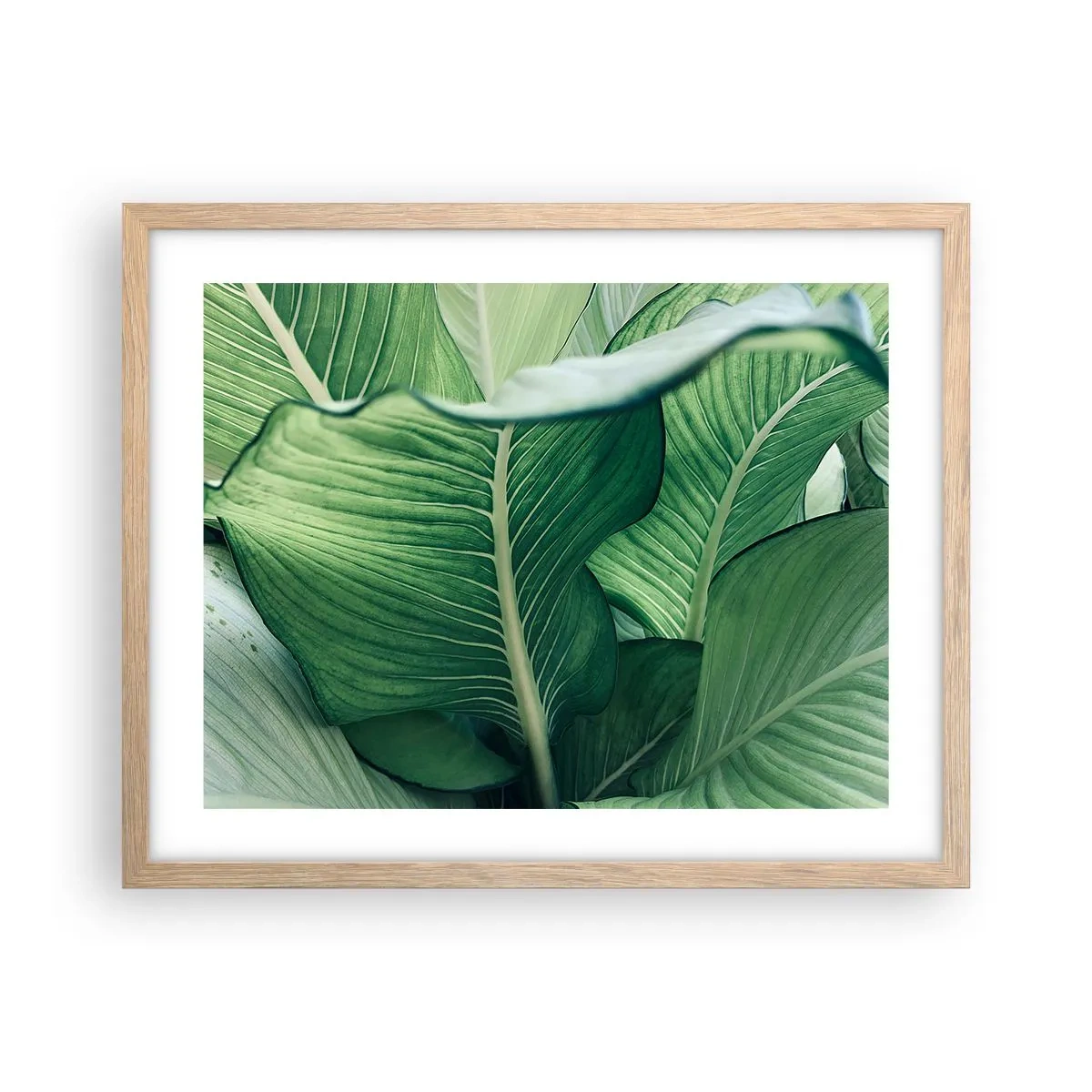 Póster en marco roble claro - Vida intensamente verde - 50x40 cm