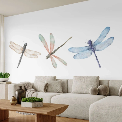 Fotomural Premium Canvas - Libélulas ingrávidas - insectos, minimalista, Pesado - 400x280 cm