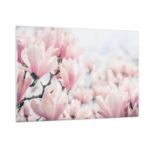 Cuadro sobre vidrio - Impresiones sobre Vidrio - Delicadas magnolias rosas sobre un fondo claro. - 120x80cm - La perfección de la sutileza - Decoración de pared moderna para salón y dormitorio ARTTOR