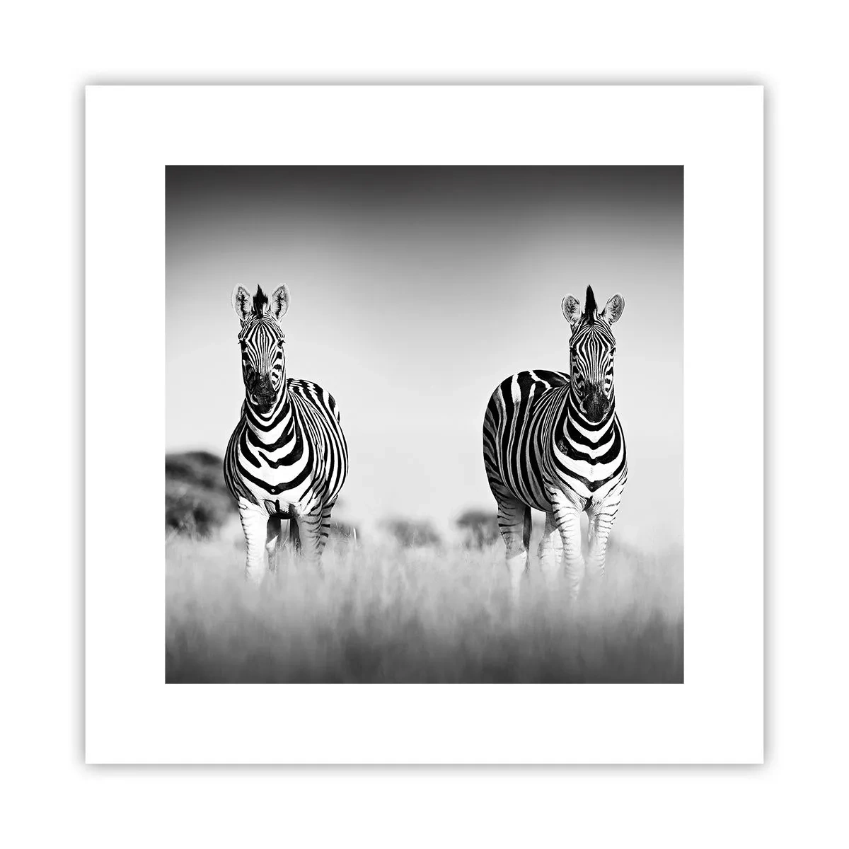 Póster - Resulta que el mundo es blanco y negro - 30x30 cm