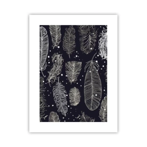 Póster - Encaje de plumas - 30x40 cm