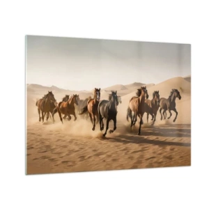 Cuadro sobre vidrio - Impresiones sobre Vidrio - Una manada de caballos al galope en el desierto entre las dunas de arena. - 70x50cm - Libre como el viento - Decoración de pared moderna para salón y dormitorio ARTTOR