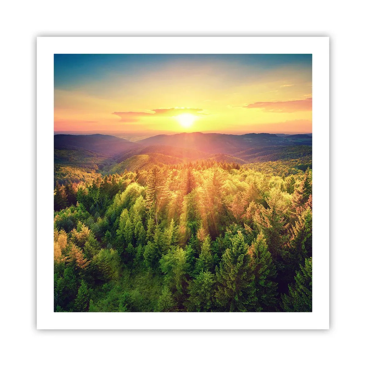 Póster - Desde lo alto - 60x60 cm