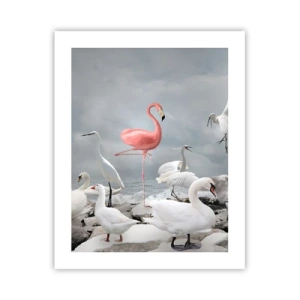 Póster - ¿De dónde vengo? - 40x50 cm