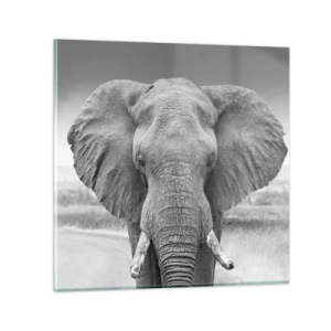 Cuadro sobre vidrio - Impresiones sobre Vidrio - Bienvenido a mi mundo - 70x70 cm