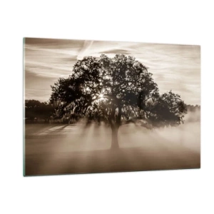Cuadro sobre vidrio - Impresiones sobre Vidrio - Un árbol en la niebla de la mañana con rayos de sol brillando a través de las ramas. - 120x80cm - Un árbol de buenas noticias  - Decoración de pared moderna para salón y dormitorio ARTTOR