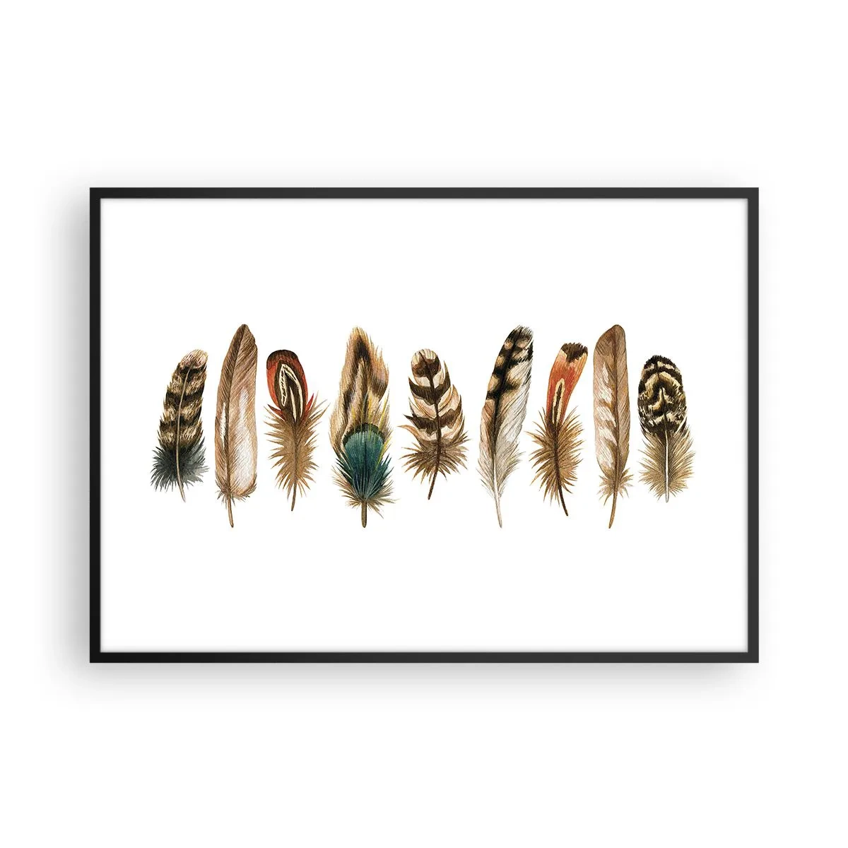 Póster en marco negro - Motivo decorativo de una colección de varias plumas. - 100x70cm - Estudio de plumas - Decoración de pared moderna para salón y dormitorio ARTTOR