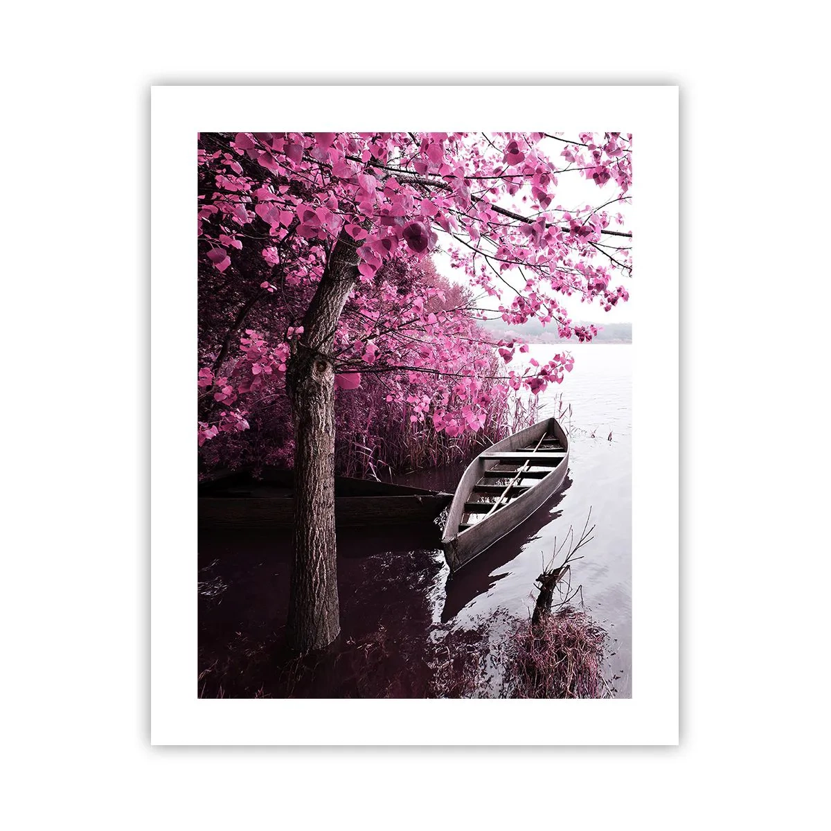 Póster - En el silencio rosa - 40x50 cm