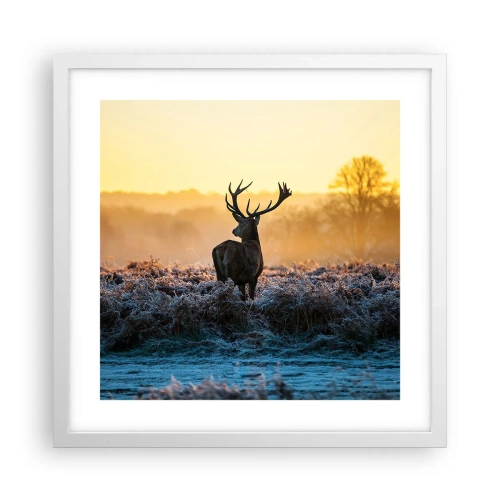 Póster en marco blanco - Coronado en sus propios dominios - 40x40 cm