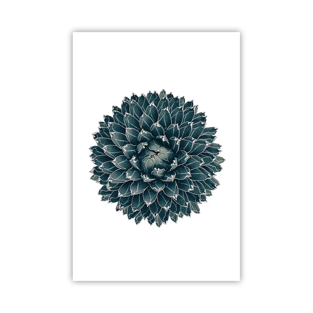 Póster - Estrella del desierto - 61x91 cm