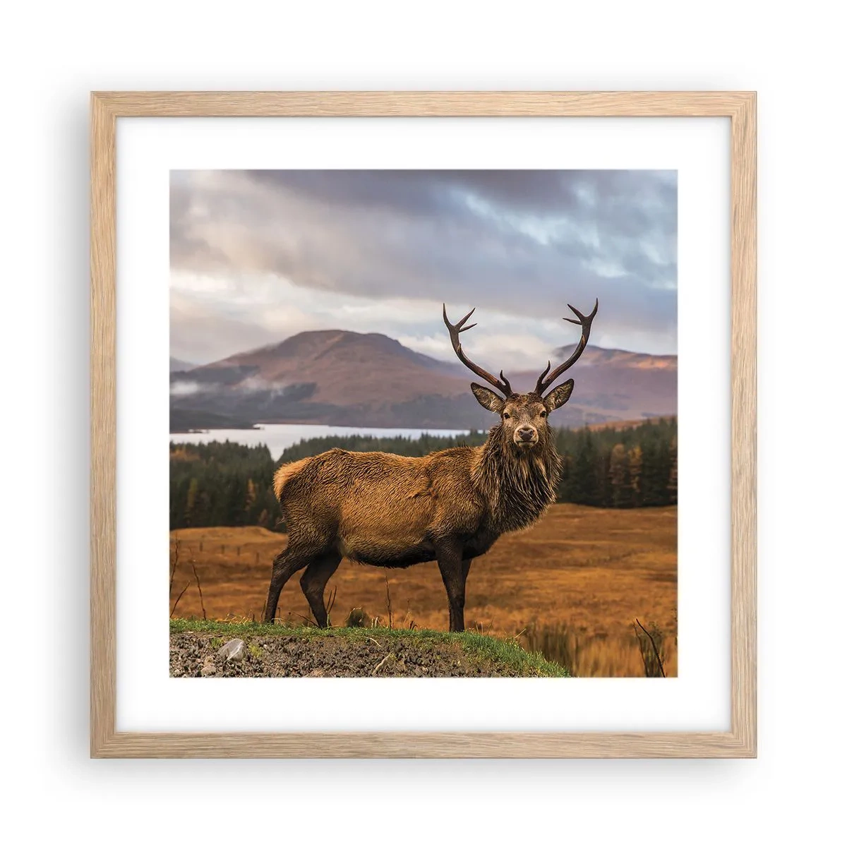 Póster en marco roble claro - La majestuosidad de la naturaleza - 40x40 cm