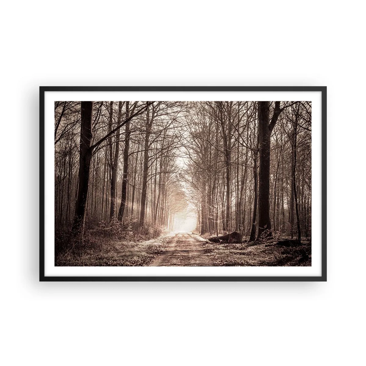 Póster en marco negro - La catedral del bosque - 91x61 cm
