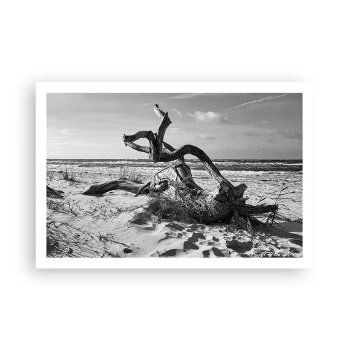 Póster - Escultura marina - 91x61 cm