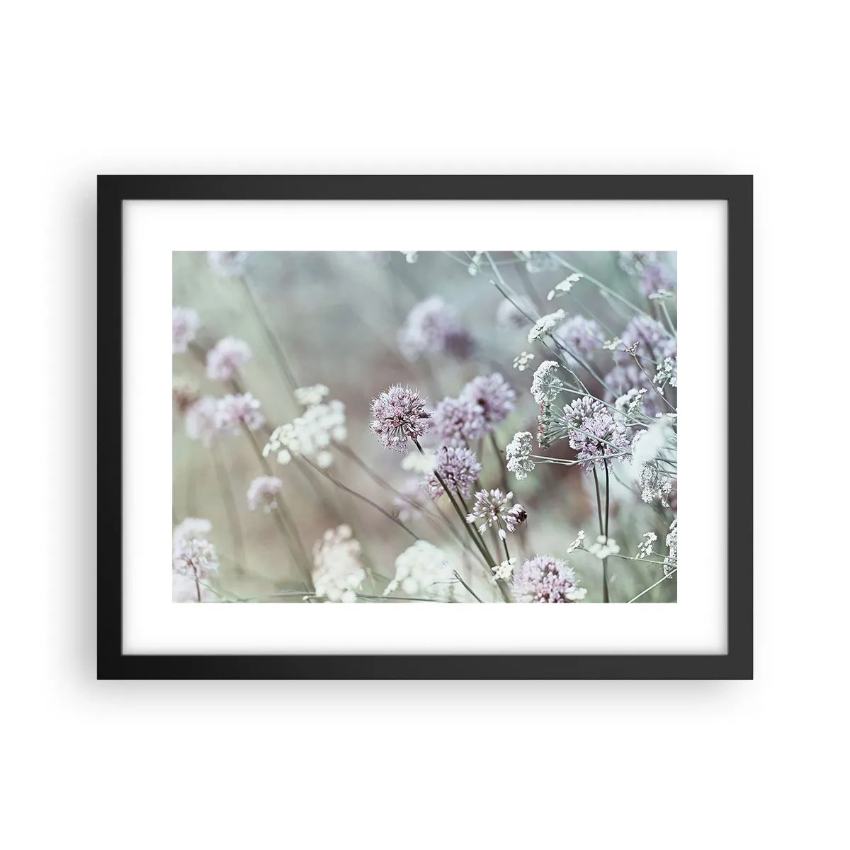 Póster en marco negro - Dulces filigranas de hierbas - 40x30 cm