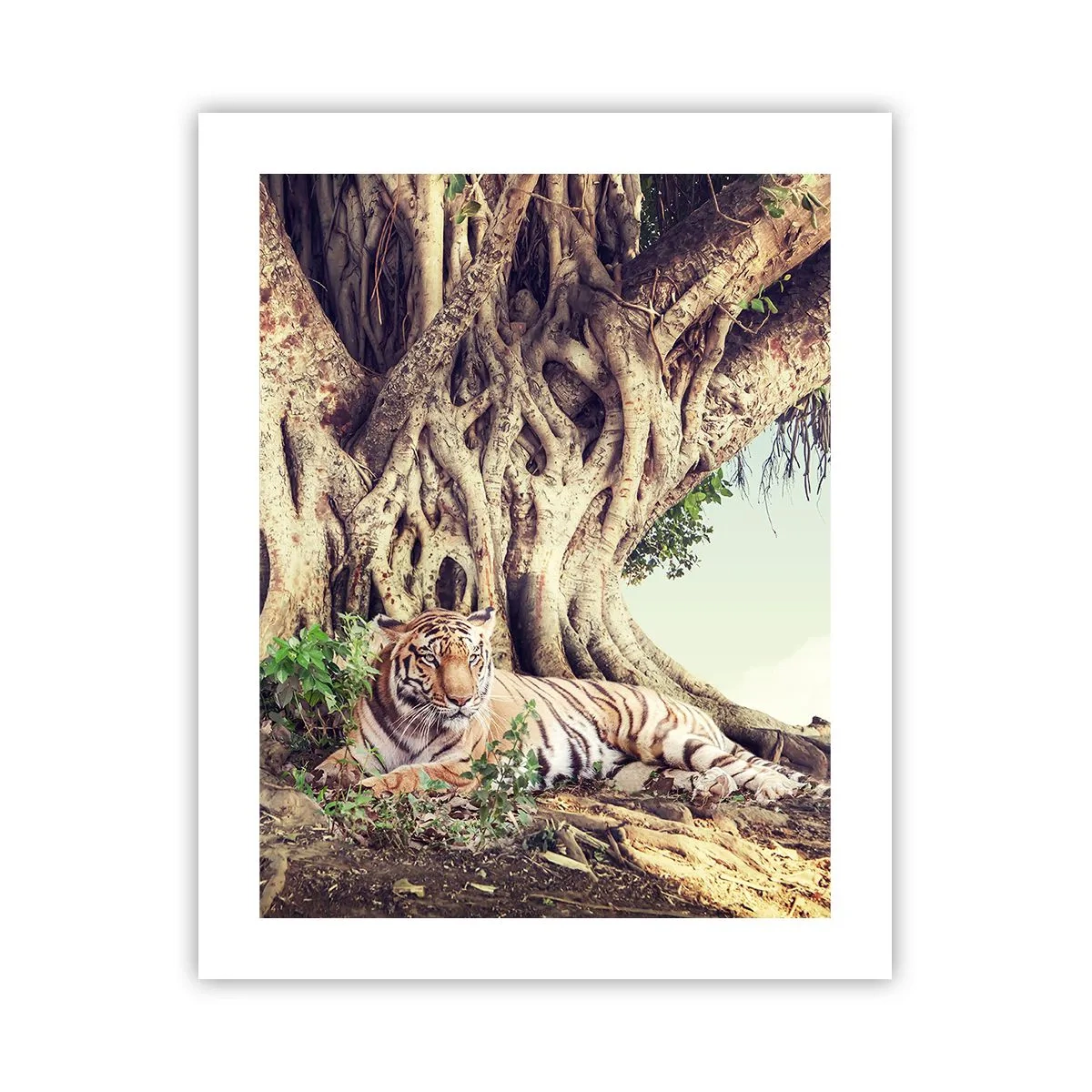 Póster - Una visión desde el Génesis - 40x50 cm