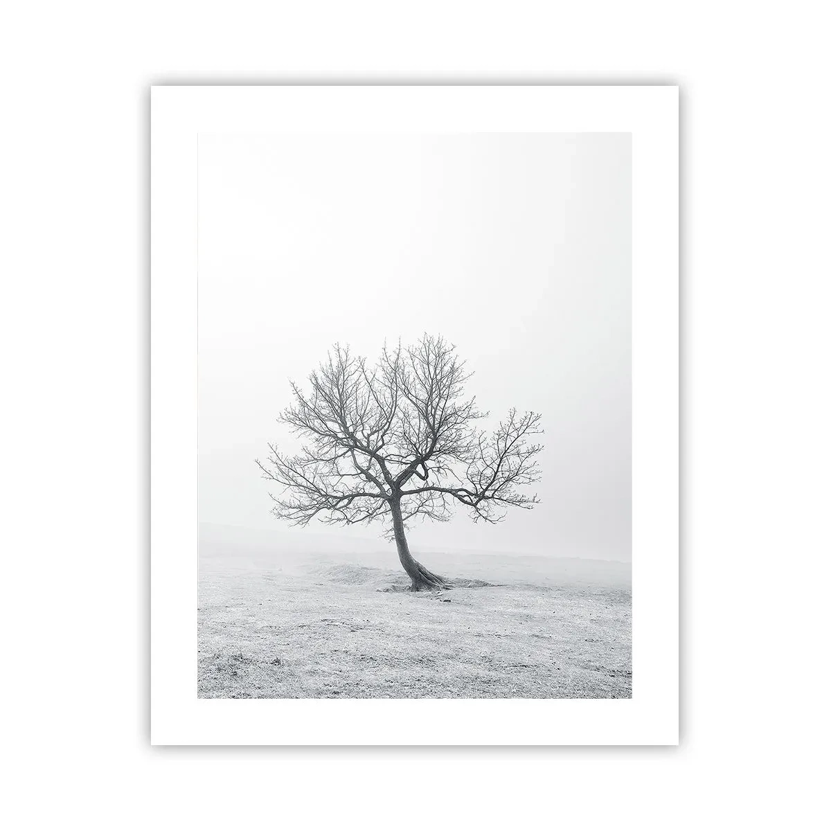 Póster - Contra la nada - 40x50 cm
