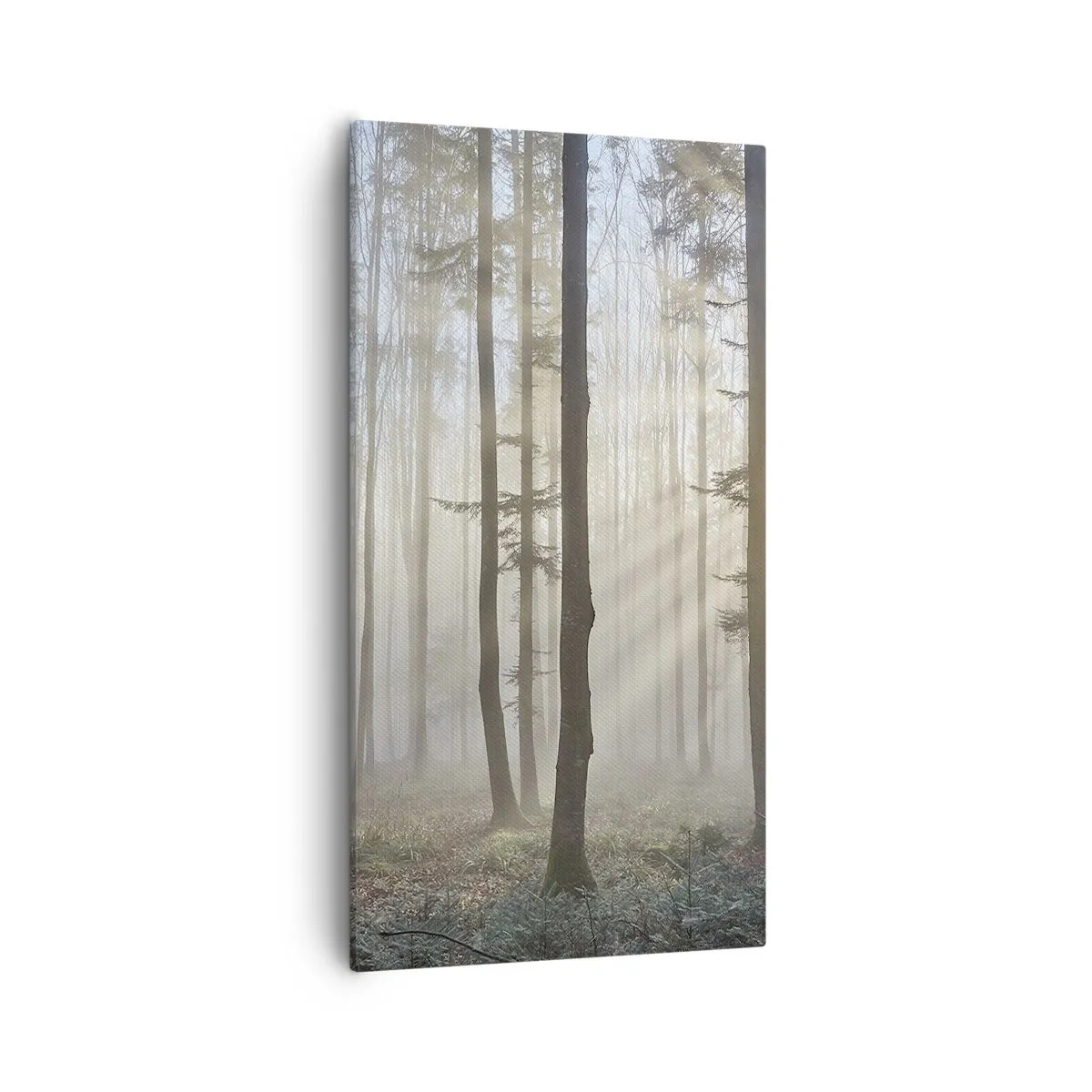 Cuadro sobre lienzo - Impresión de Imagen - La niebla también está despierta - 55x100 cm