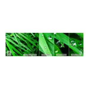 Muestra de fotomural autoadhesivo Deluxe Sticker - Jugar al verde - Naturaleza, Césped verde, Jardín - 100x30 cm