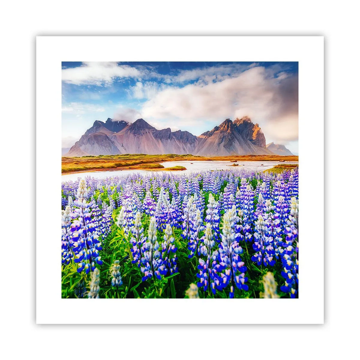 Póster - La fuerza y la severidad junto a la dulzura - 40x40 cm