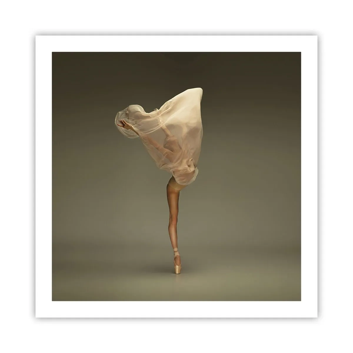 Póster - A punto de volar - 60x60 cm