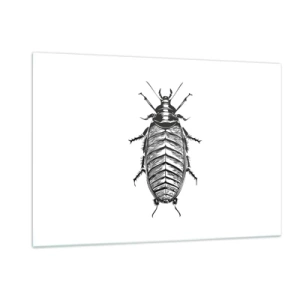 Cuadro sobre vidrio - Impresiones sobre Vidrio - Ilustración en blanco y negro de un insecto sobre un fondo blanco. - 120x80cm - ¡Qué espécimen! - Decoración de pared moderna para salón y dormitorio ARTTOR
