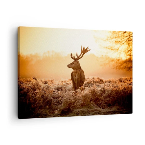 Cuadro sobre lienzo - Impresión de Imagen - Ciervos bajo los rayos del sol naciente - 70x50cm - Un líder por derecho - Decoración de pared moderna para salón y dormitorio ARTTOR