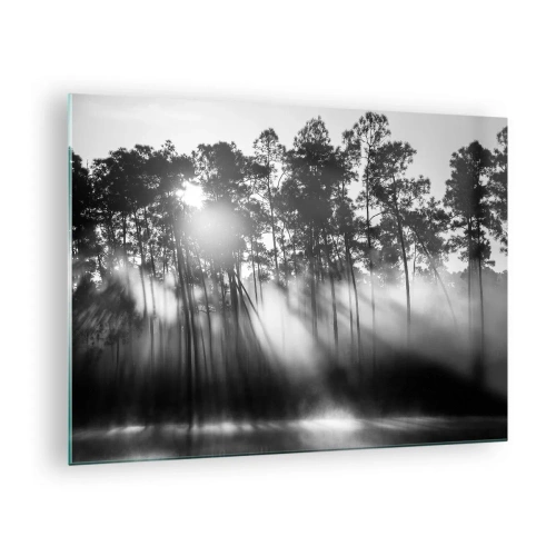 Cuadro sobre vidrio - Impresiones sobre Vidrio - Árboles en blanco y negro en un bosque con rayos de sol en la bruma. - 70x50cm - Sol imparable - Decoración de pared moderna para salón y dormitorio ARTTOR