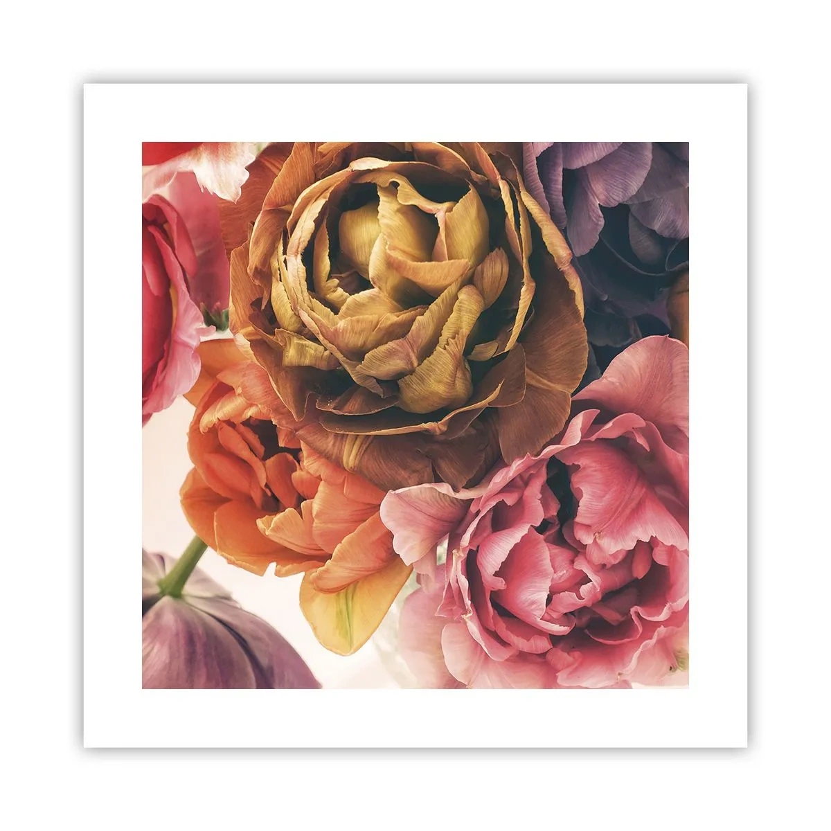 Póster - Celebración de la vida - 40x40 cm