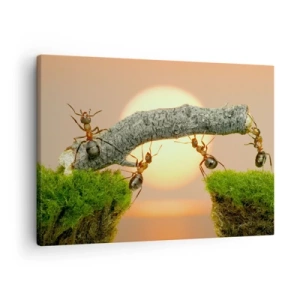 Cuadro sobre lienzo - Impresión de Imagen - Hormigas construyendo un puente de ramas con el sol poniente como telón de fondo. - 70x50cm - Trabajar juntos con alegría - Decoración de pared moderna para salón y dormitorio ARTTOR