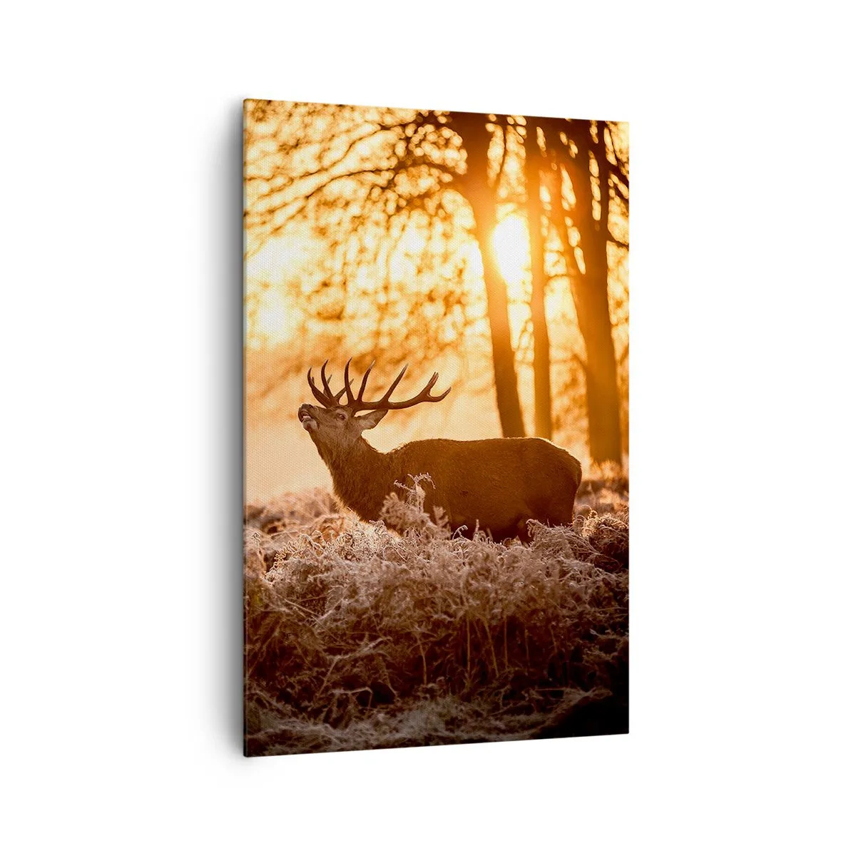 Cuadro sobre lienzo - Impresión de Imagen - Dos ciervos al atardecer en un paisaje invernal. - 80x120cm - El sueño de un cazador - Decoración de pared moderna para salón y dormitorio ARTTOR