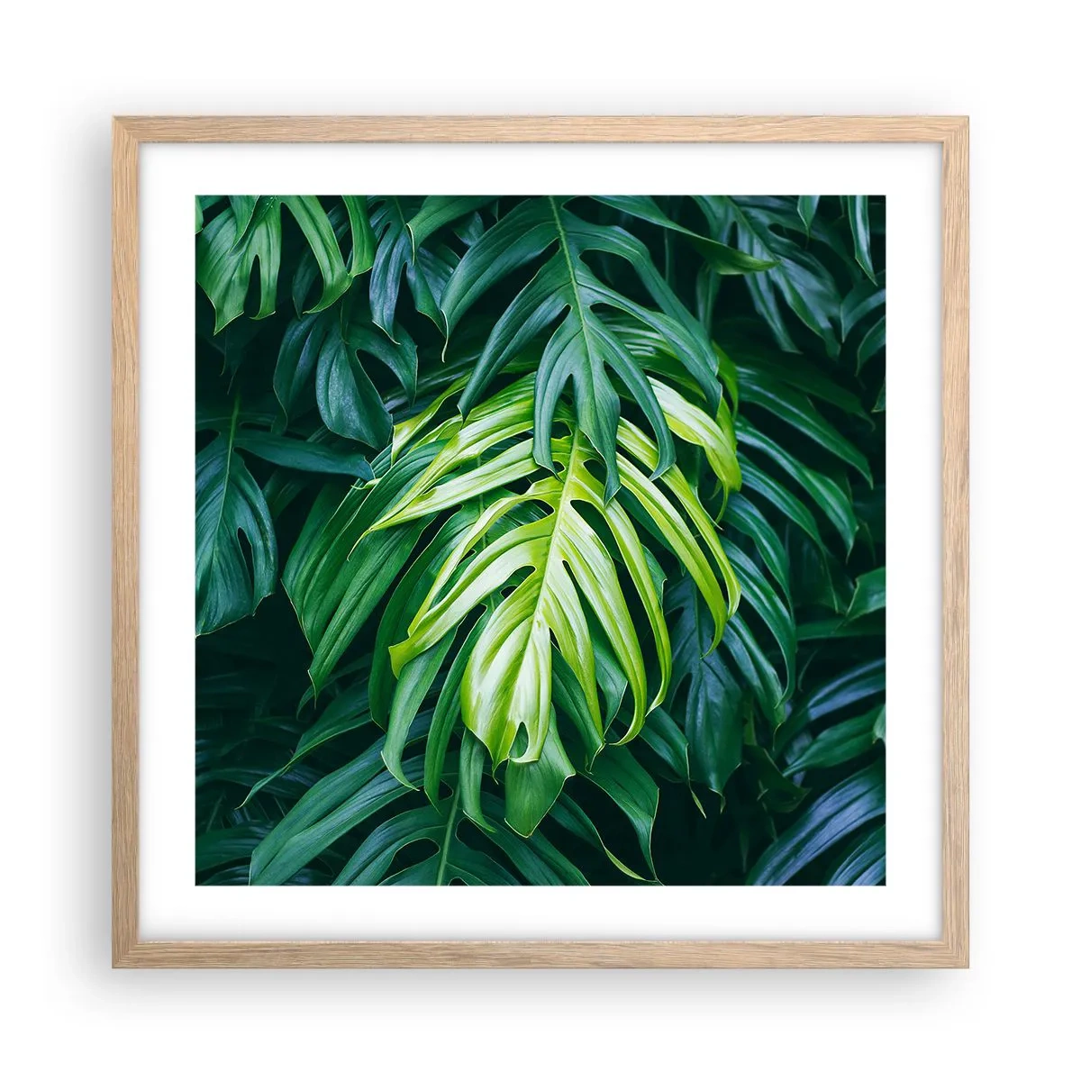 Póster en marco roble claro - Sumérjase en la frescura - 50x50 cm