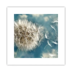 Póster - El aliento de un ángel - 30x30 cm