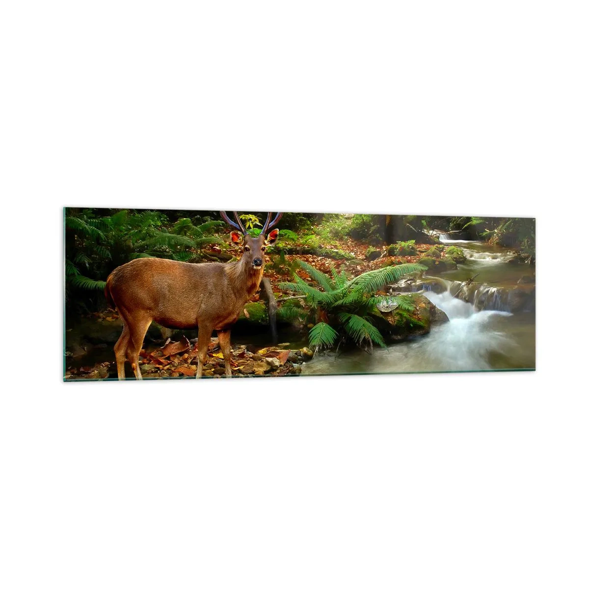 Cuadro sobre vidrio - Impresiones sobre Vidrio - Un ciervo junto a un arroyo rodeado de vegetación en el bosque. - 160x50cm - Bienvenido a mi mundo - Decoración de pared moderna para salón y dormitorio ARTTOR
