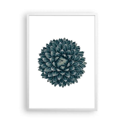 Póster en marco blanco - Estrella del desierto - 50x70 cm