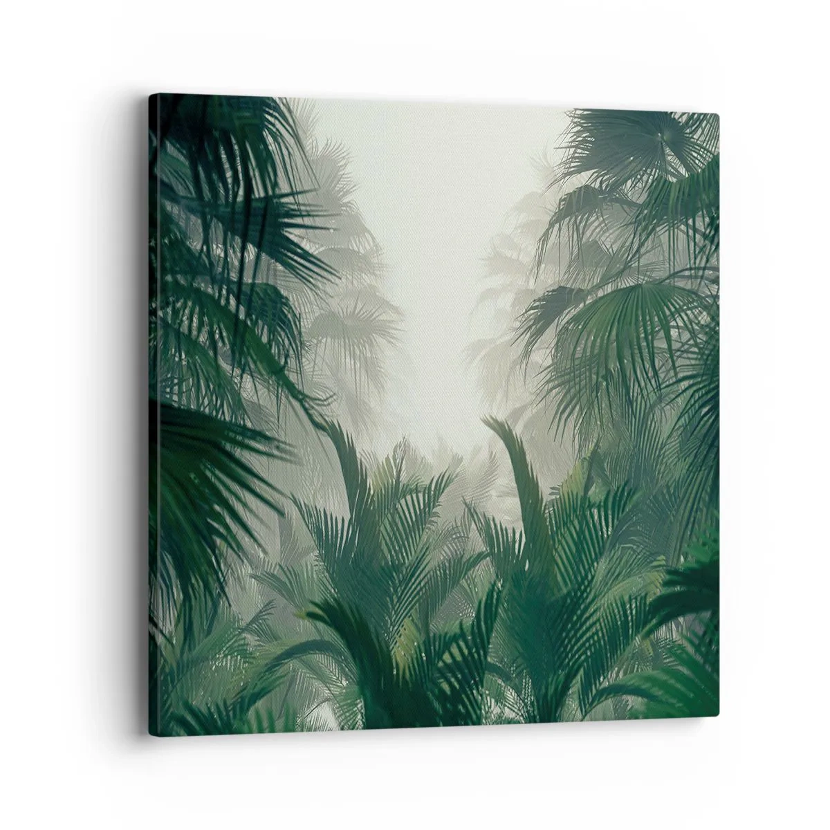 Cuadro sobre lienzo - Impresión de Imagen - Misterio tropical - 40x40 cm