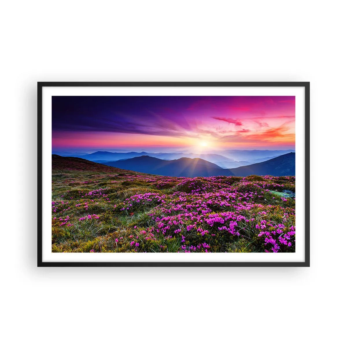 Póster en marco negro - Dulce aroma a frescura - 91x61 cm