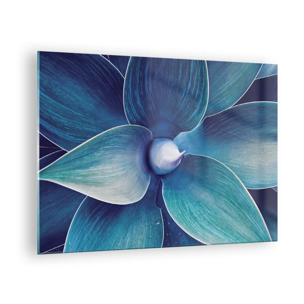 Cuadro sobre vidrio - Impresiones sobre Vidrio - Fotografía macro de una planta en tonos azules. - 70x50cm - Azul del cielo - Decoración de pared moderna para salón y dormitorio ARTTOR