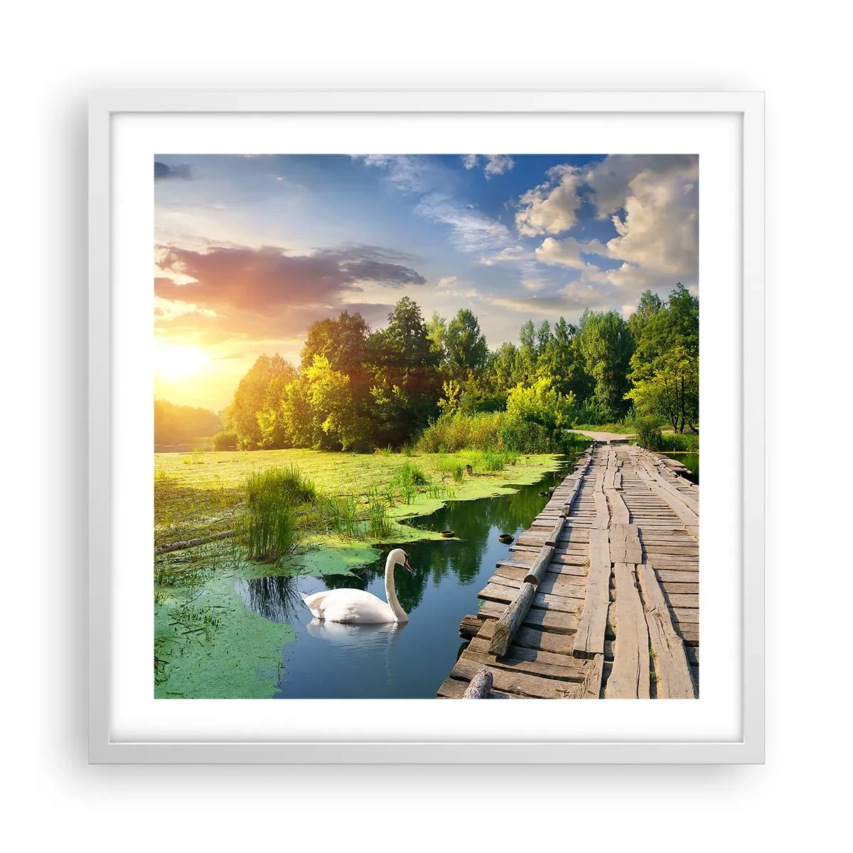 Póster en marco blanco - Verano, verano en todas partes - 50x50 cm
