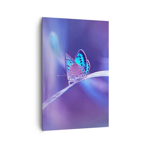 Cuadro sobre lienzo - Impresión de Imagen - Una delicada mariposa azul sobre un tallo en luz violeta. - 80x120cm - Una joya de la naturaleza - Decoración de pared moderna para salón y dormitorio ARTTOR