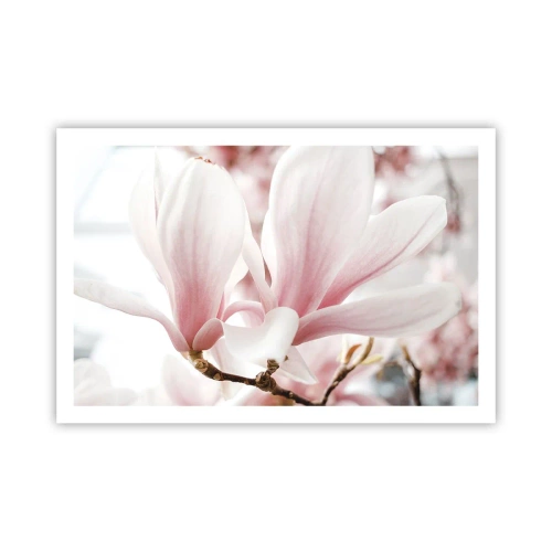 Póster - Inmensidad de la ternura - 91x61 cm