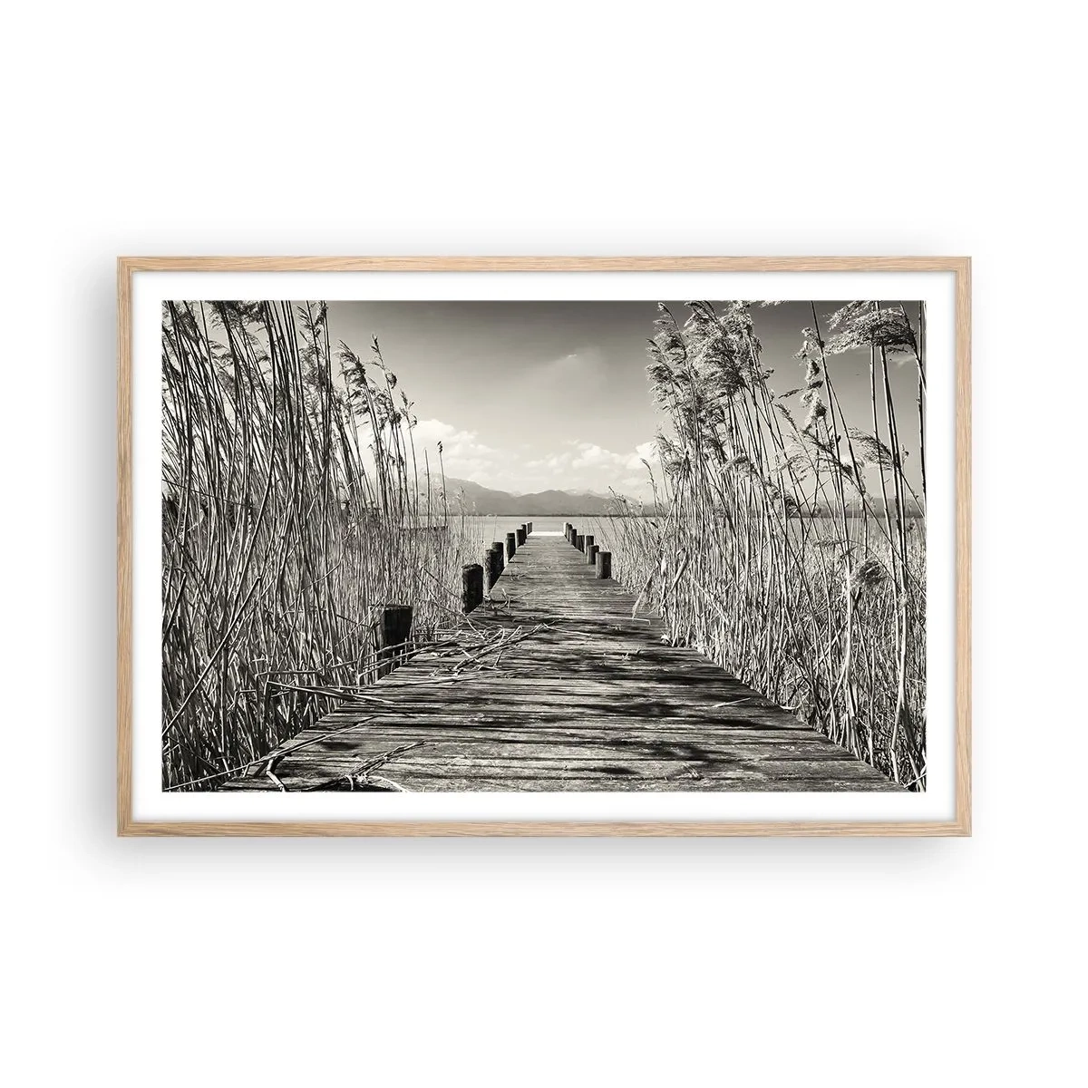 Póster en marco roble claro - En la quietud de los juncos - 91x61 cm