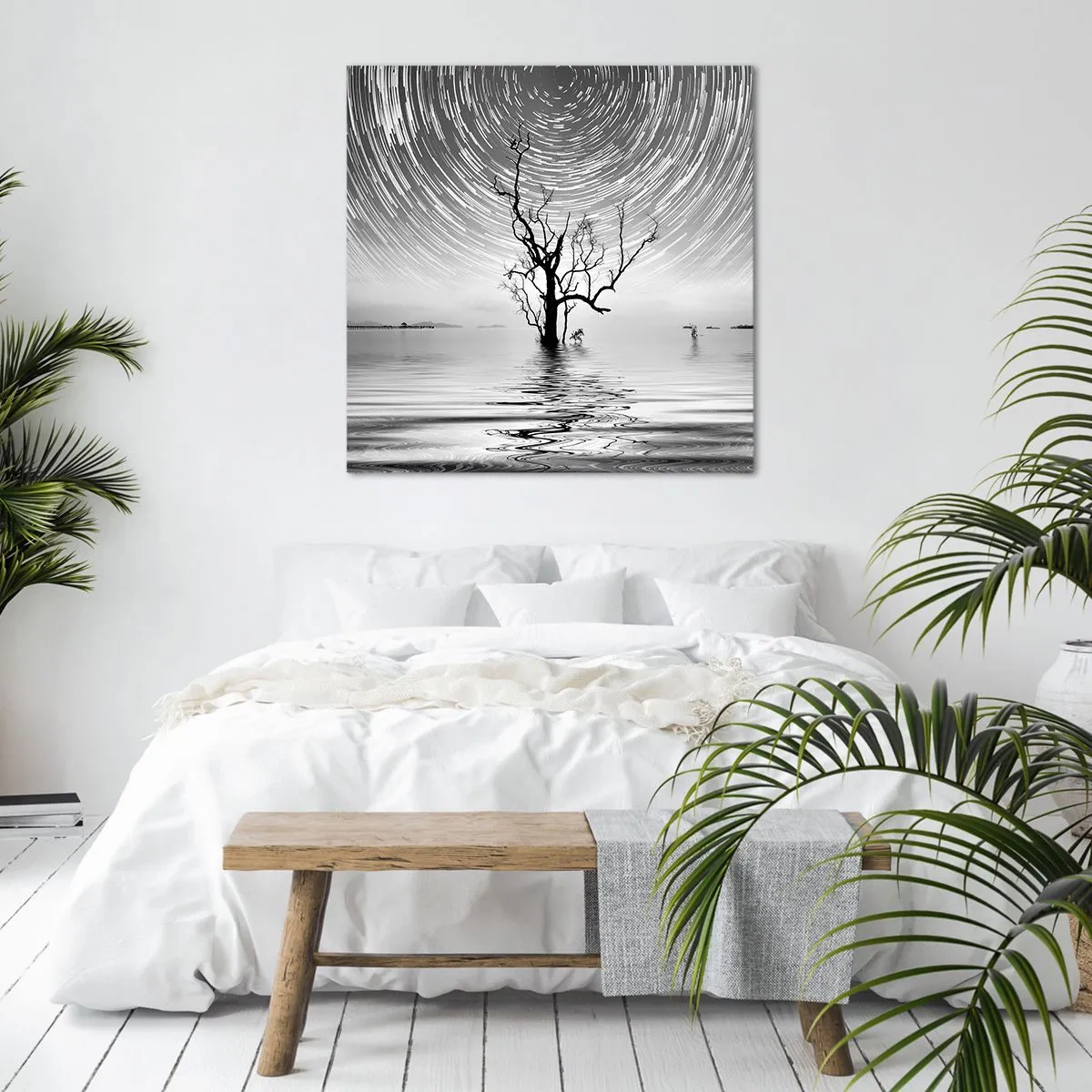 Cuadro sobre lienzo - Impresión de Imagen - Una sinfonía de la naturaleza - 40x40 cm