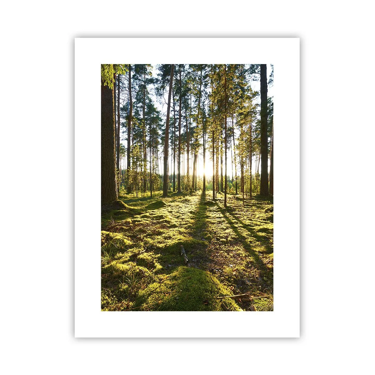 Póster - ...Más allá de los siete bosques - 30x40 cm