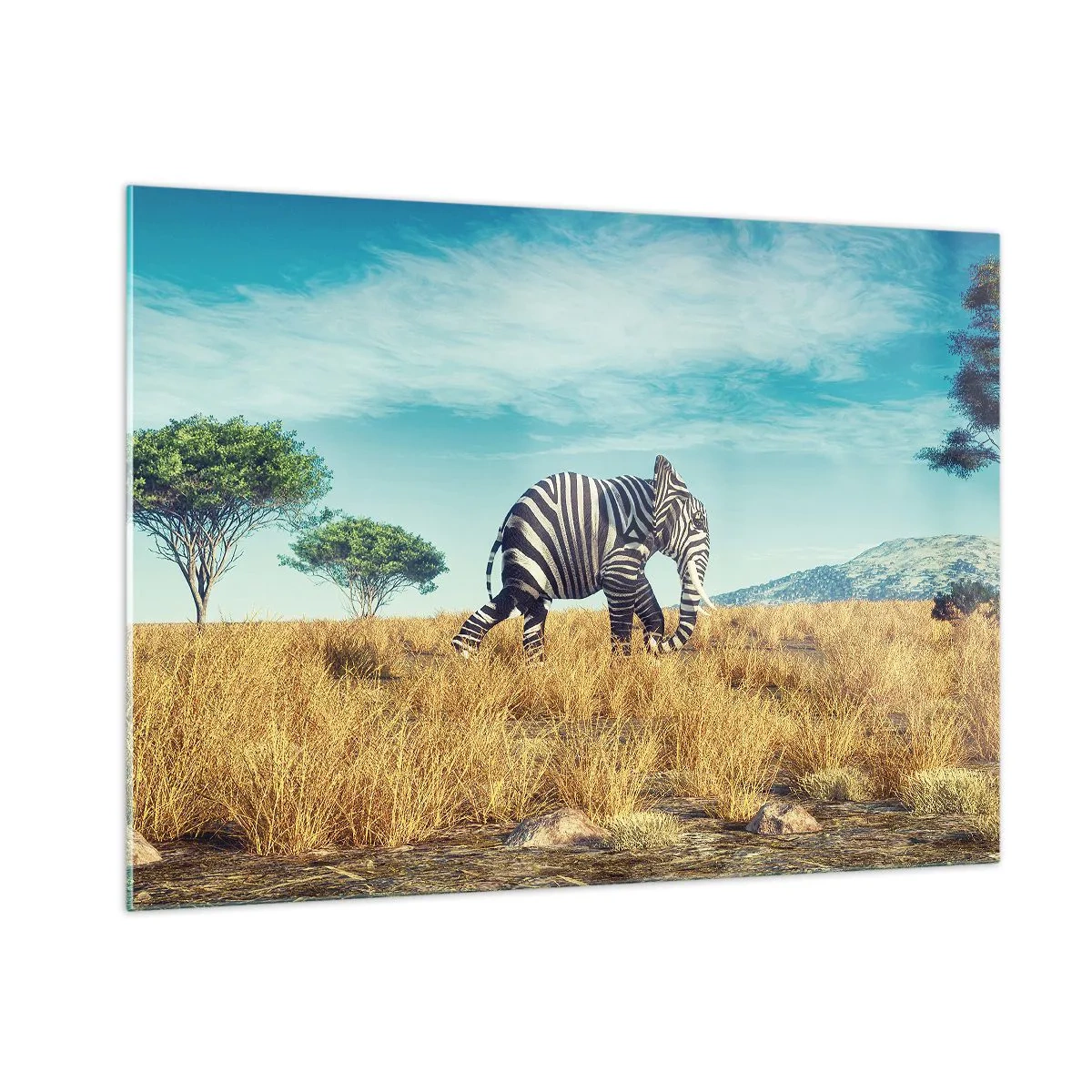 Cuadro sobre vidrio - Impresiones sobre Vidrio - Un elefante con rayas de cebra en la sabana bajo el cielo. - 100x70cm - El gris ya no está de moda - Decoración de pared moderna para salón y dormitorio ARTTOR