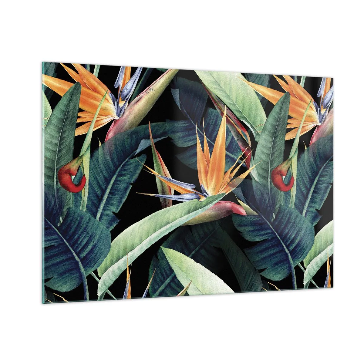 Cuadro sobre vidrio - Impresiones sobre Vidrio - Flores de strelitzia y hojas tropicales sobre fondo negro - 100x70cm - Flores de llamas de los trópicos - Decoración de pared moderna para salón y dormitorio ARTTOR