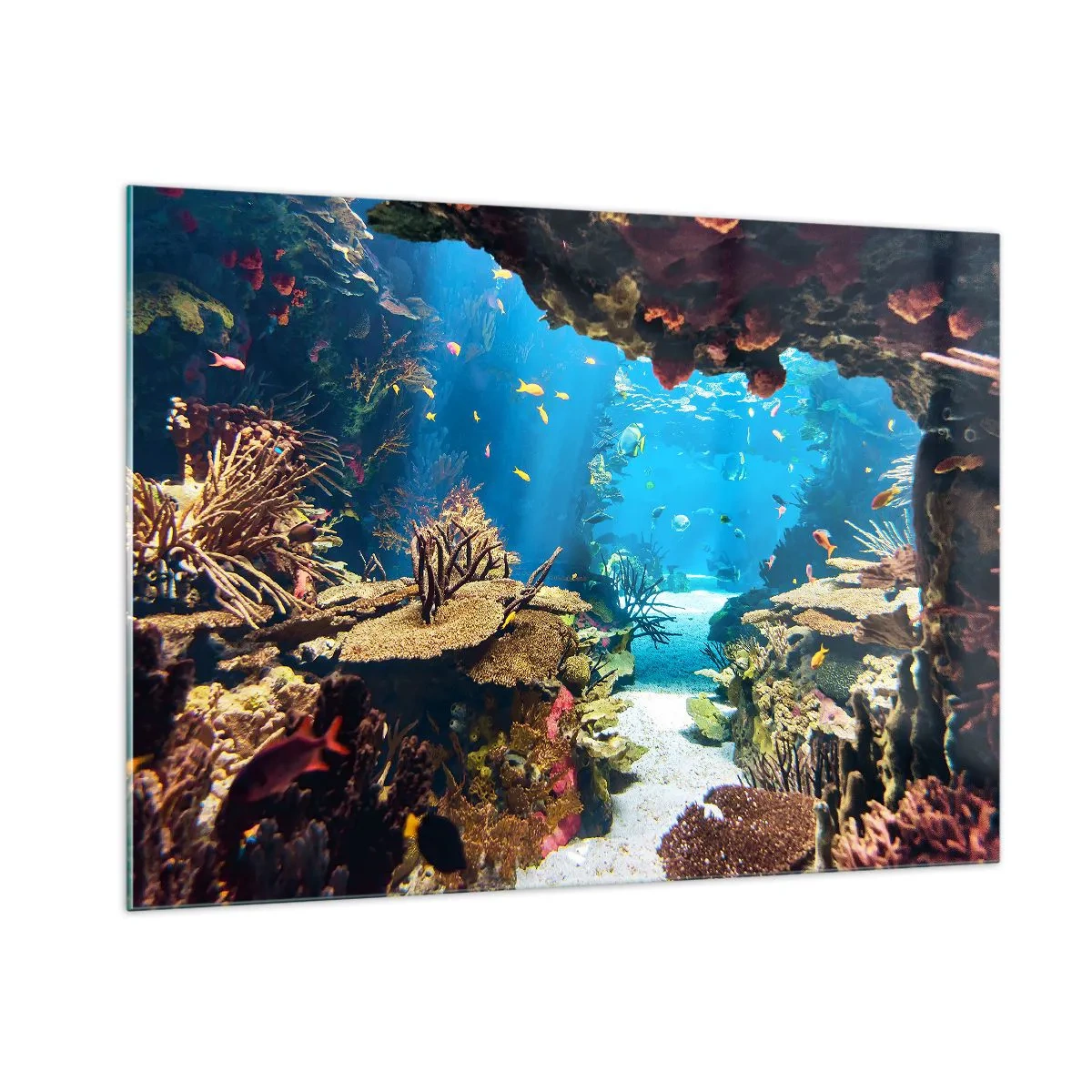 Cuadro sobre vidrio - Impresiones sobre Vidrio - Mundo submarino con arrecifes de coral y peces. - 100x70cm - Ni siquiera has soñado - Decoración de pared moderna para salón y dormitorio ARTTOR