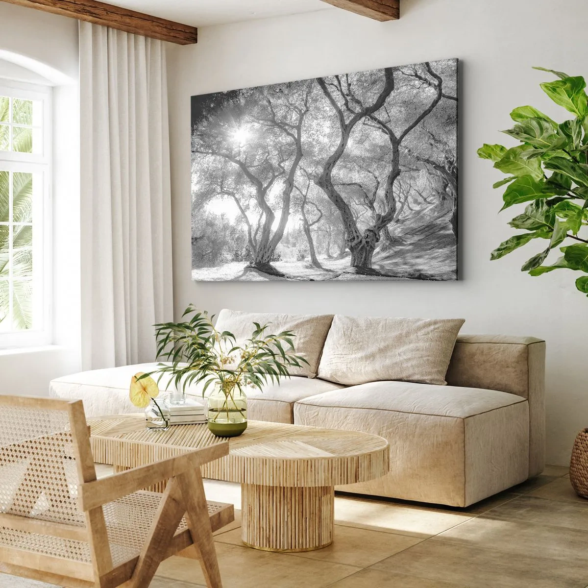 Cuadro sobre lienzo - Impresión de Imagen - Vista en blanco y negro de árboles en un olivar con rayos de sol. - 100x70cm - En un olivar - Decoración de pared moderna para salón y dormitorio ARTTOR