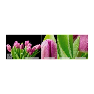 Muestra de fotomural Premium Canvas - La alegría de la primavera - flores, tulipanes, Ramo de flores - 100x30 cm