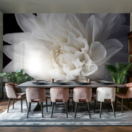 Fotomural Premium Canvas - Una delicada flor blanca sobre un fondo negro en una elegante composición. - 100x70cm - La novia de la mañana - Decoración de pared moderna para salón y dormitorio ARTTOR