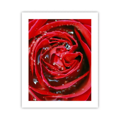 Póster - En gotas de rocío - 40x50 cm